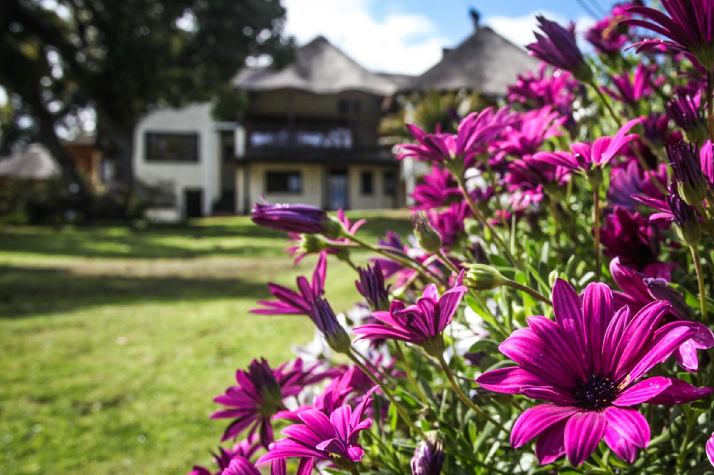 Winelands Villa Guesthouse And Cottages Somerset West Εξωτερικό φωτογραφία