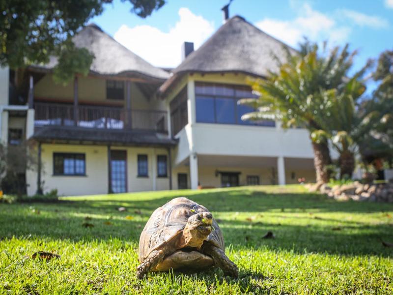 Winelands Villa Guesthouse And Cottages Somerset West Εξωτερικό φωτογραφία